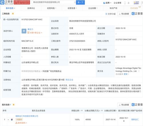 信息系統集成服務 構建數字化未來的核心力量