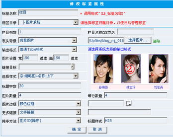 圖片和自定義js的問題 領先建站cms提供服務商 我們專注于cms建站產(chǎn)品的研發(fā)